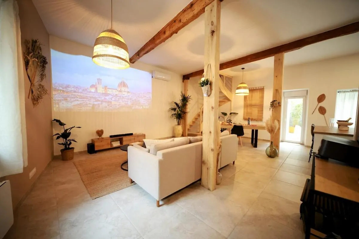 Villa De Charme Avec Spa Pamiers
