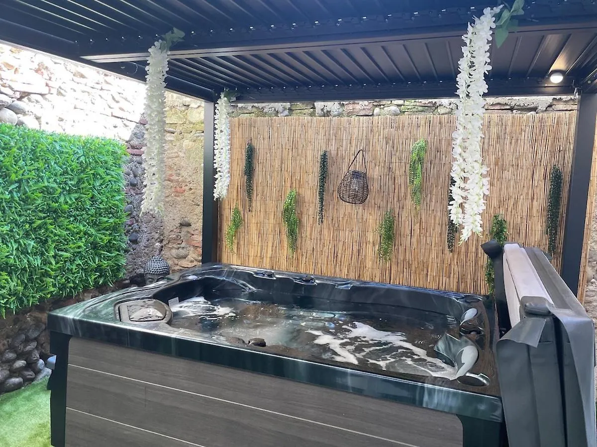 Villa De Charme Avec Spa Pamiers