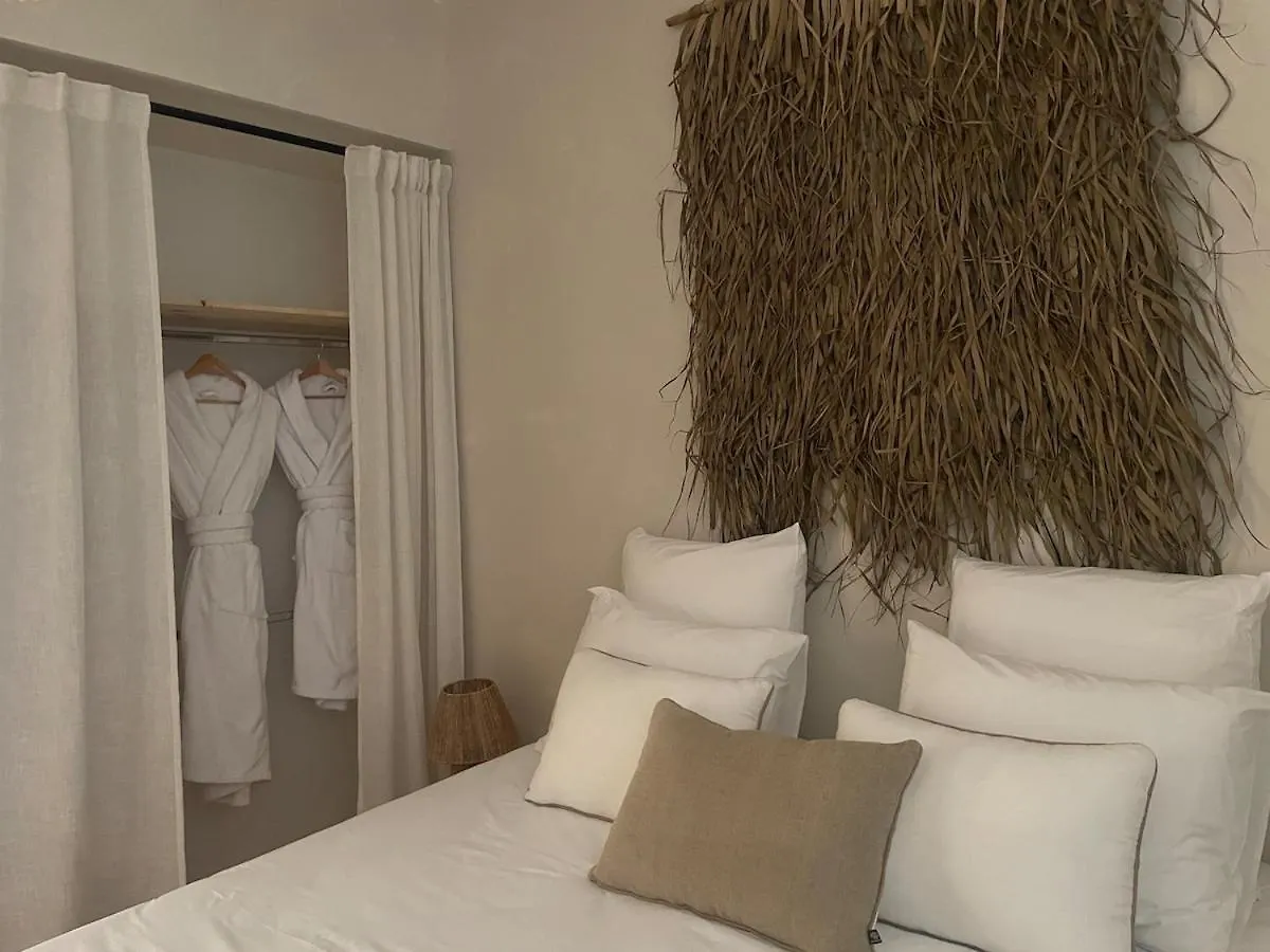 Villa De Charme Avec Spa Pamiers
