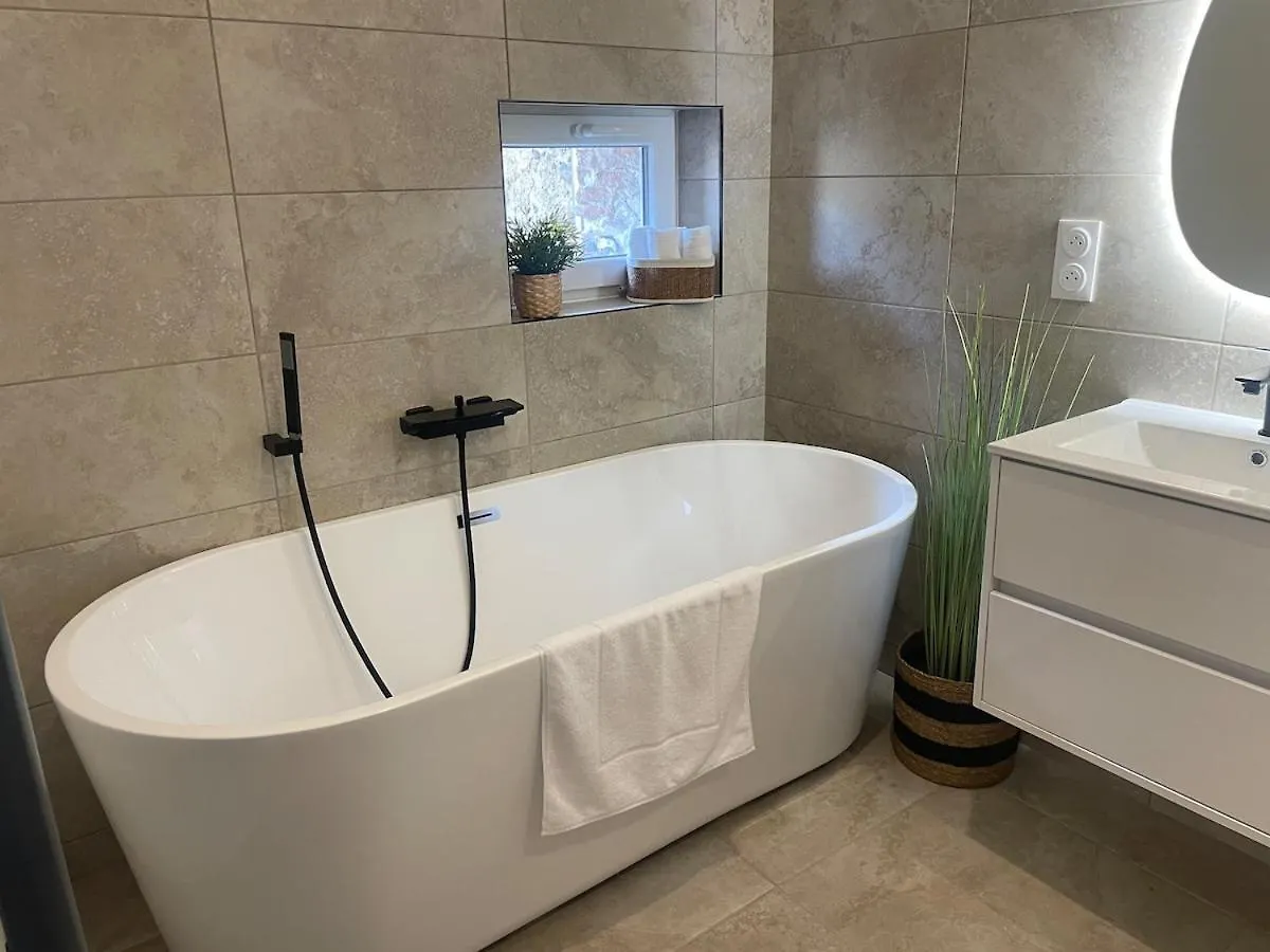 Villa De Charme Avec Spa Pamiers Frankrijk